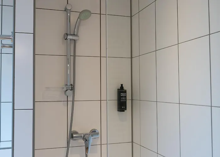 Ibis Styles Centre Gare נאנסי